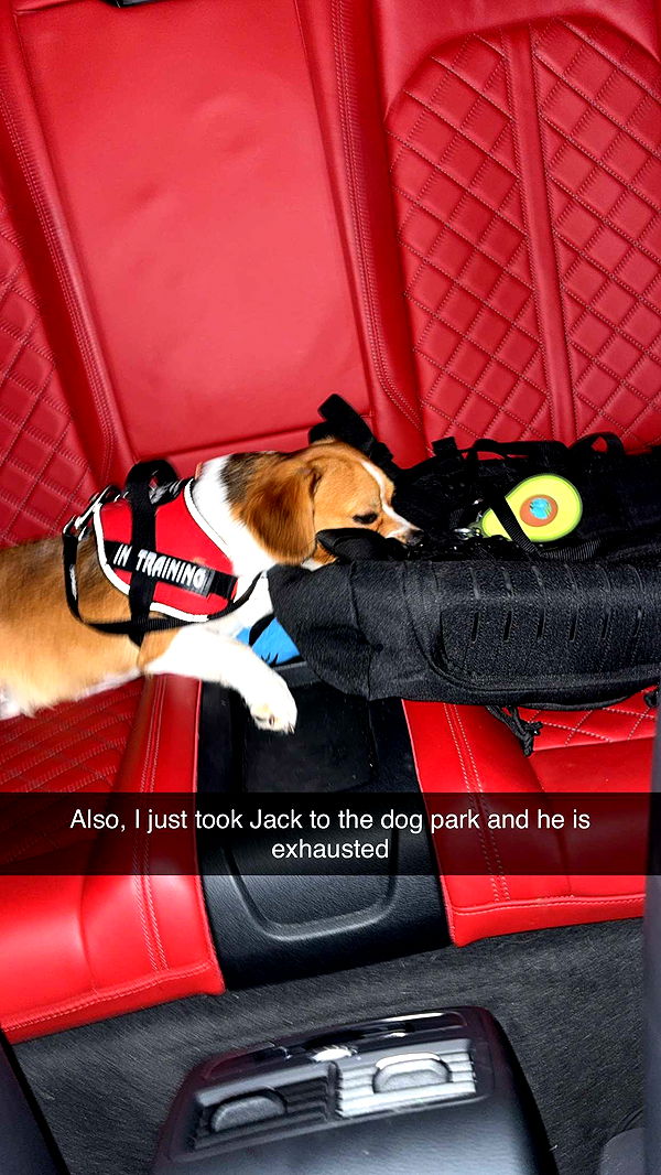 kydoddss image ~ Altpins