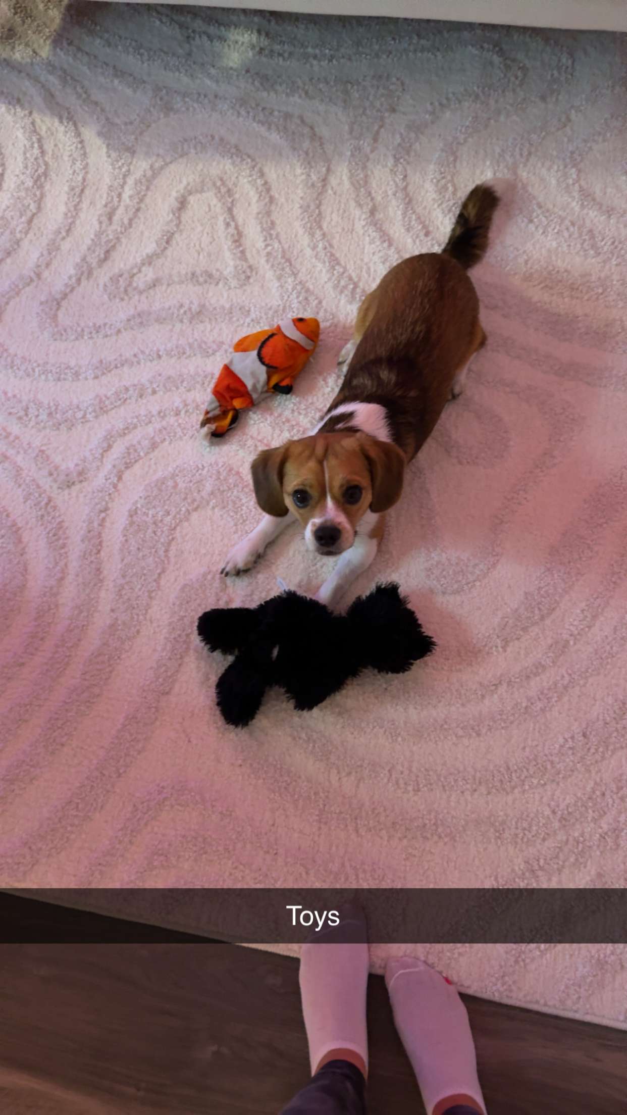 kydoddss snapchat image archive image