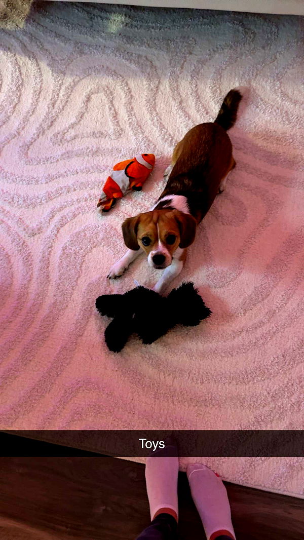 kydoddss image ~ Altpins