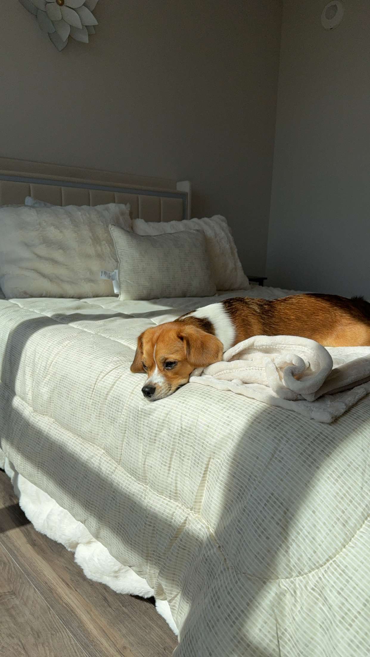 kydoddss snapchat image archive image