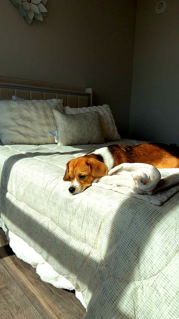 kydoddss image ~ Altpins