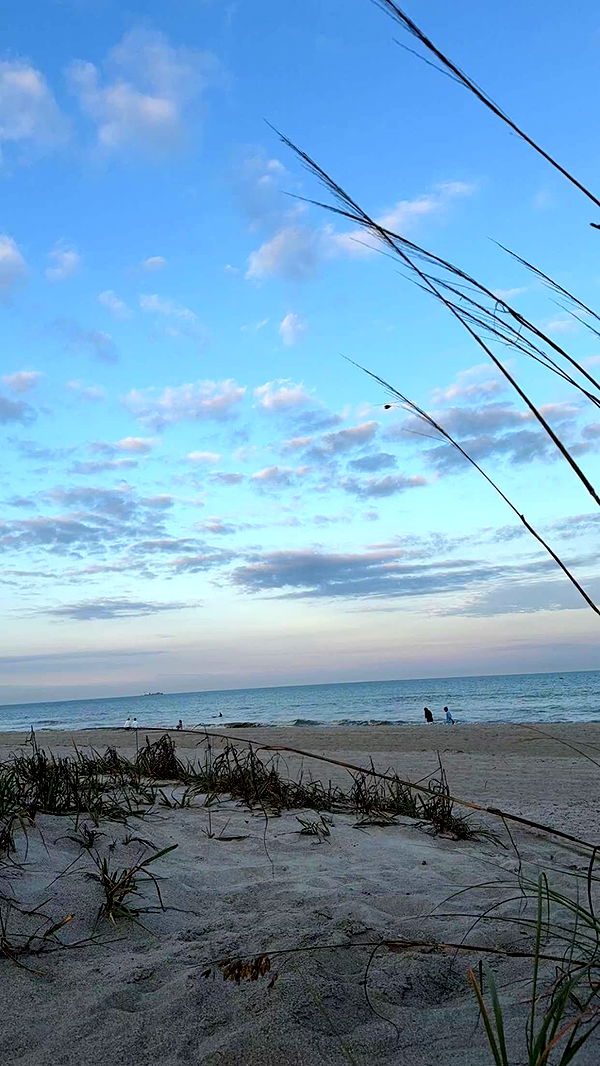 kydoddss image ~ Altpins