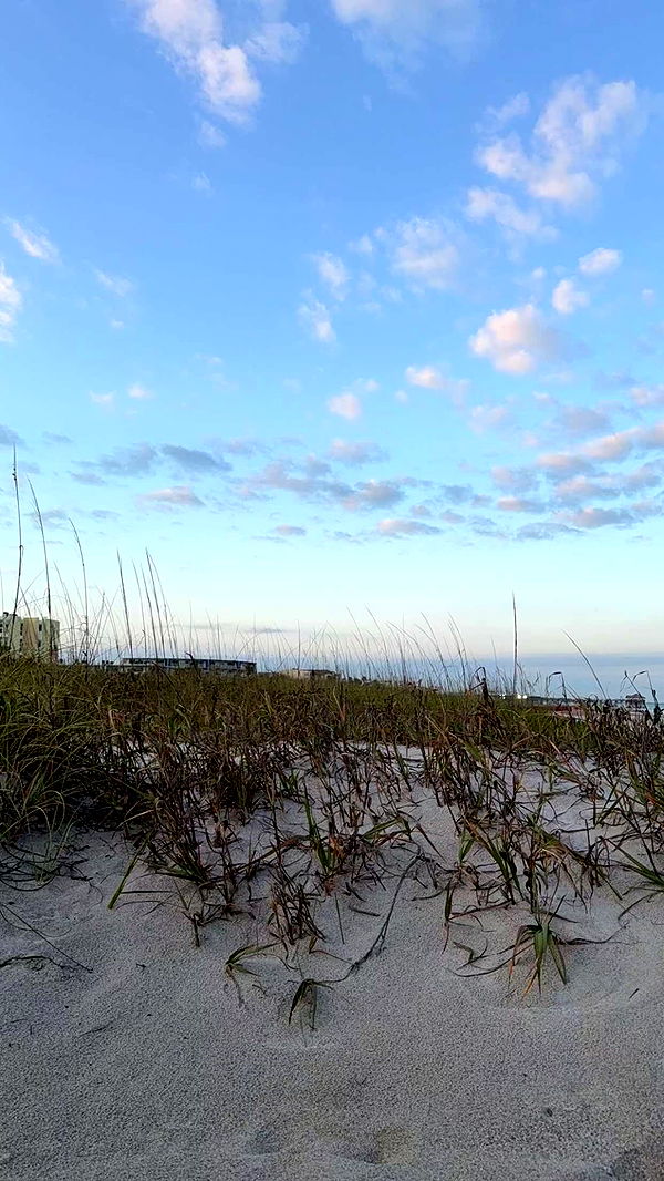 kydoddss image ~ Altpins