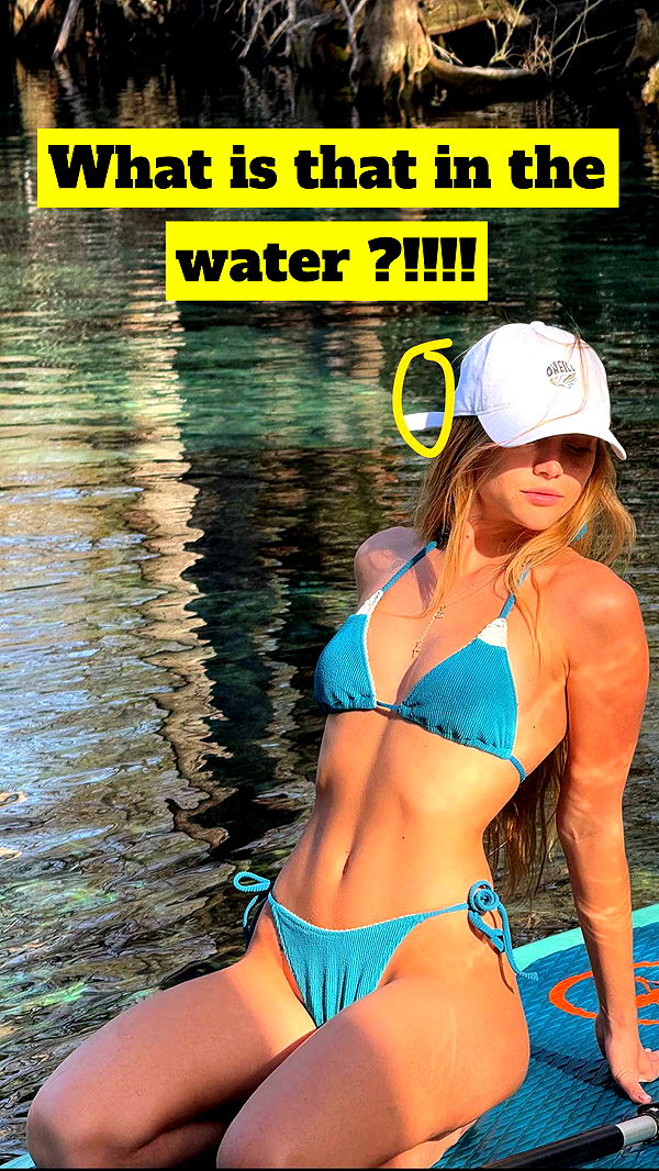 kydoddss image ~ Altpins