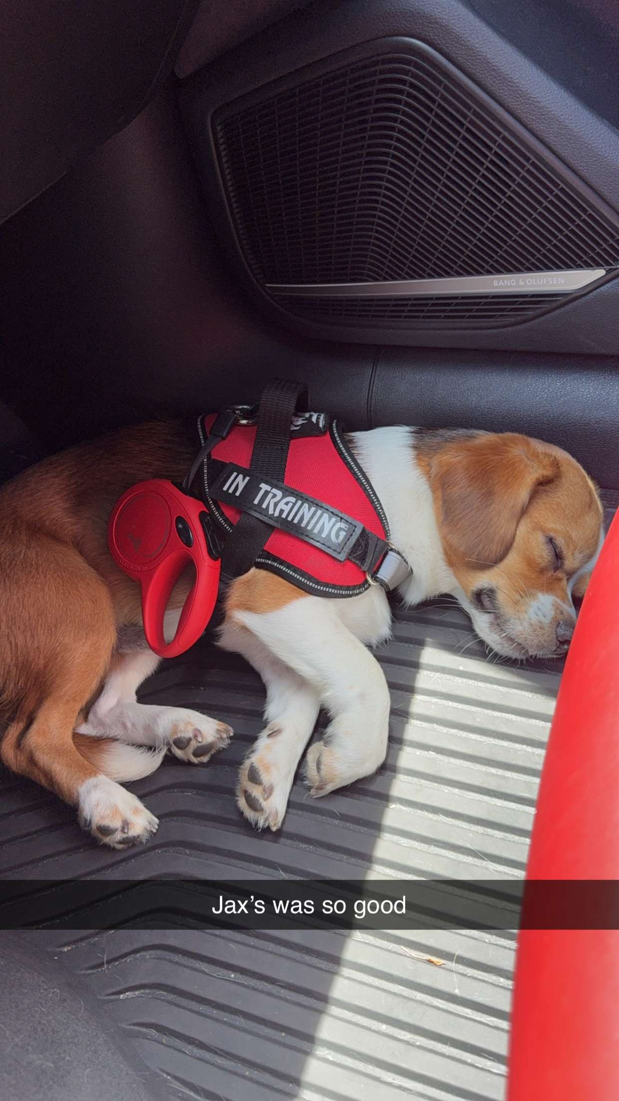 kydoddss snapchat image archive image