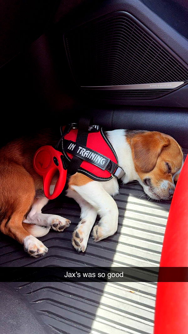 kydoddss image ~ Altpins