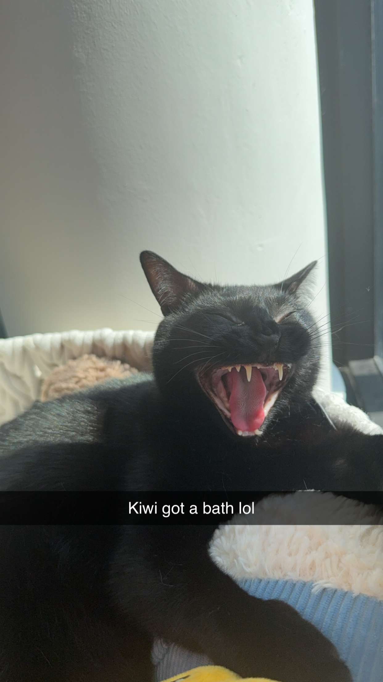 kydoddss snapchat image archive image