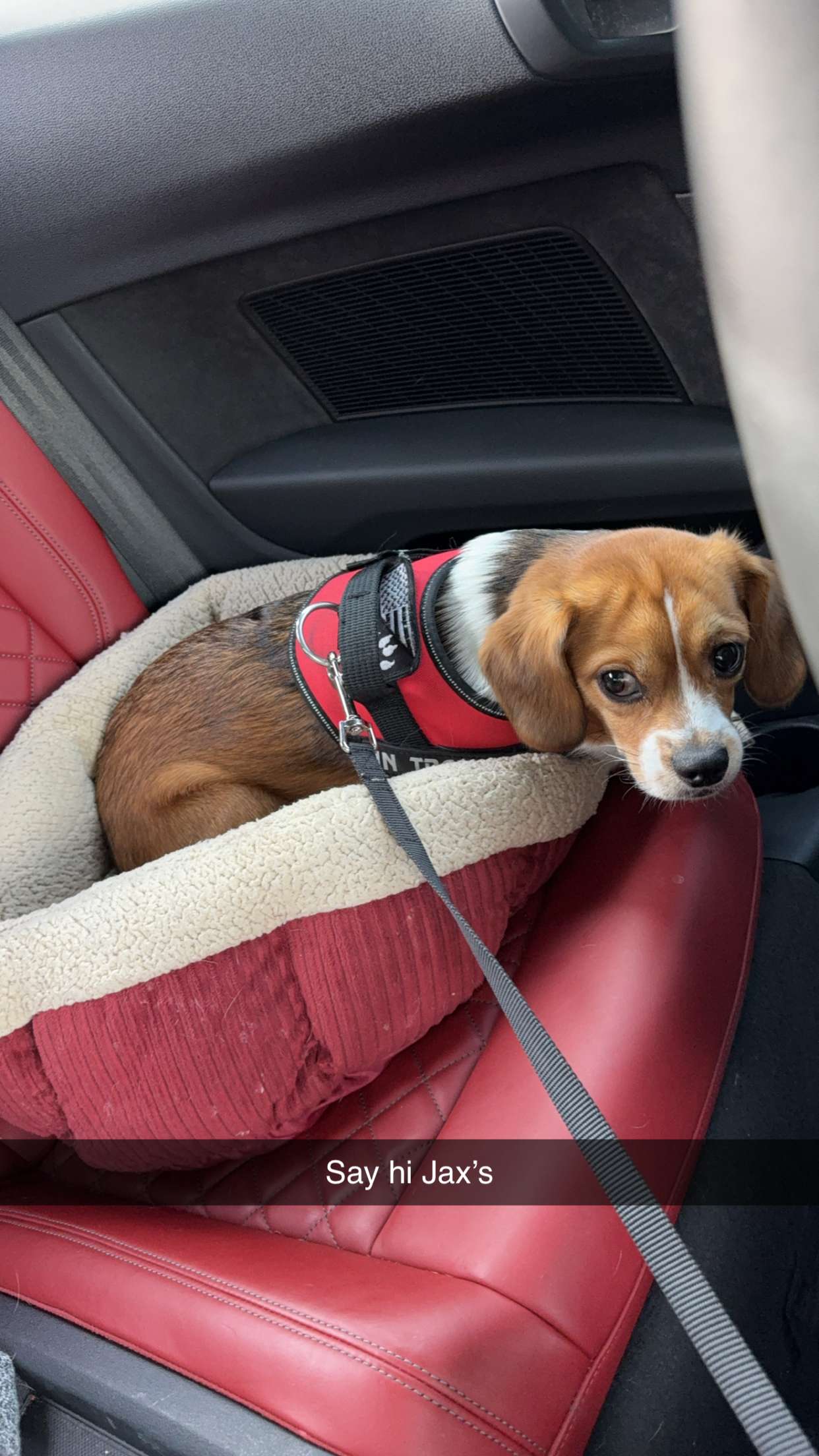 kydoddss snapchat image archive image