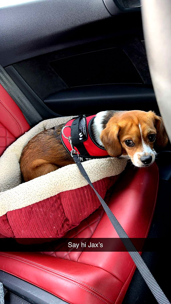 kydoddss image ~ Altpins