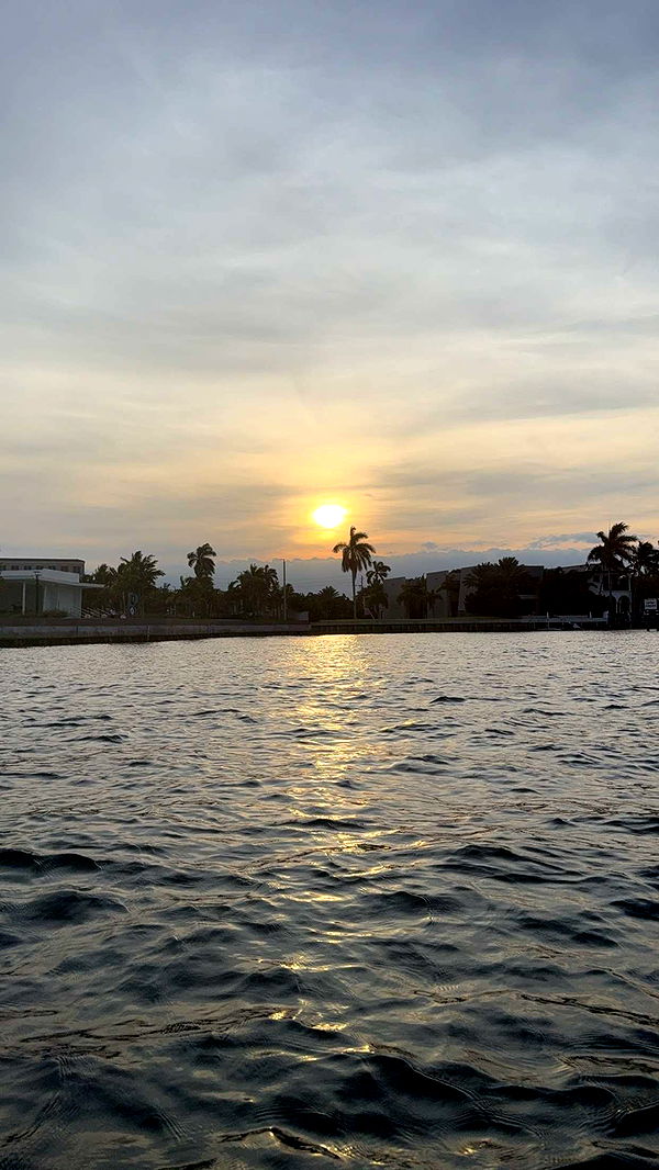 kydoddss image ~ Altpins