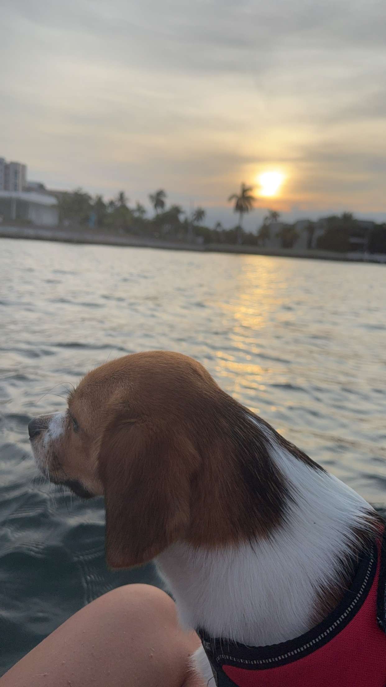 kydoddss snapchat image archive image