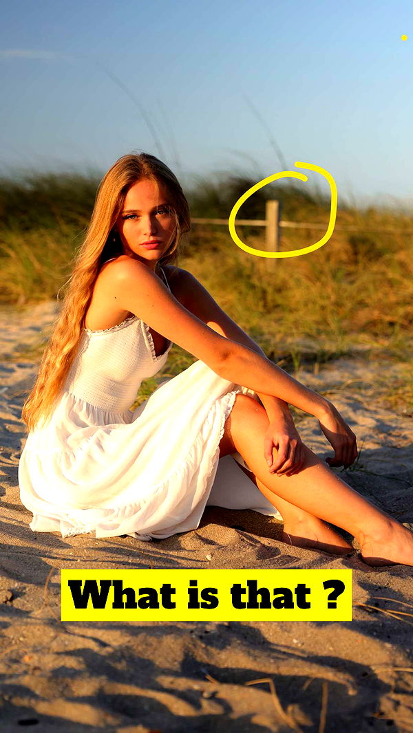 kydoddss image ~ Altpins