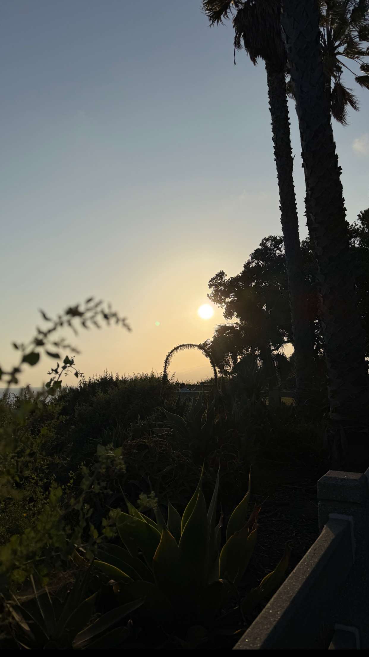 kydoddss snapchat image archive image