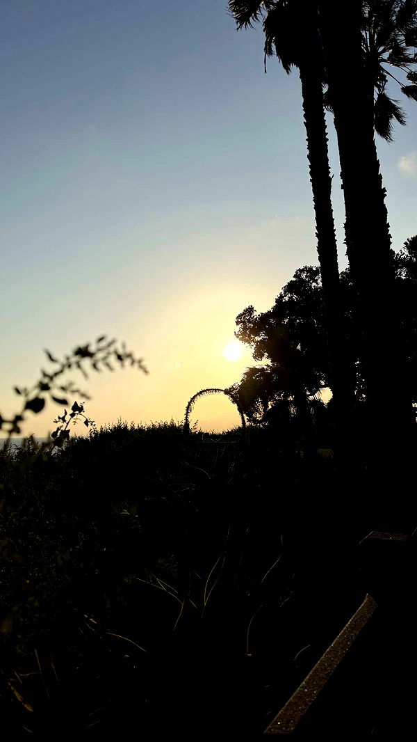 kydoddss image ~ Altpins