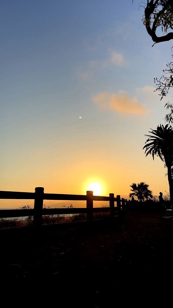 kydoddss image ~ Altpins