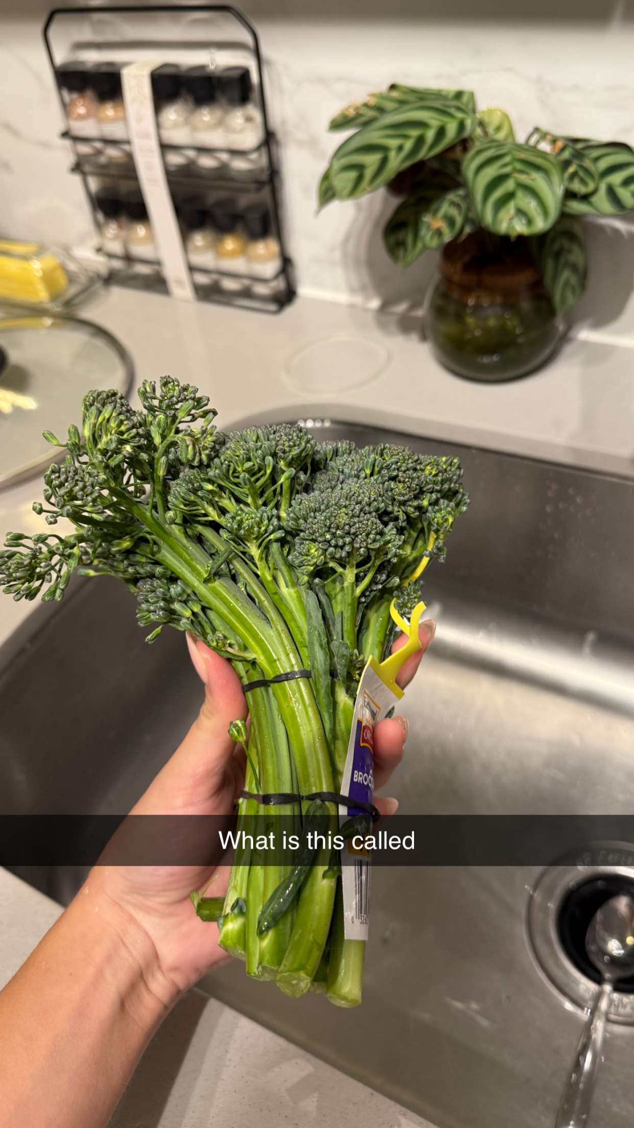 kydoddss snapchat image archive image