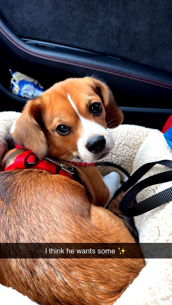 kydoddss image ~ Altpins