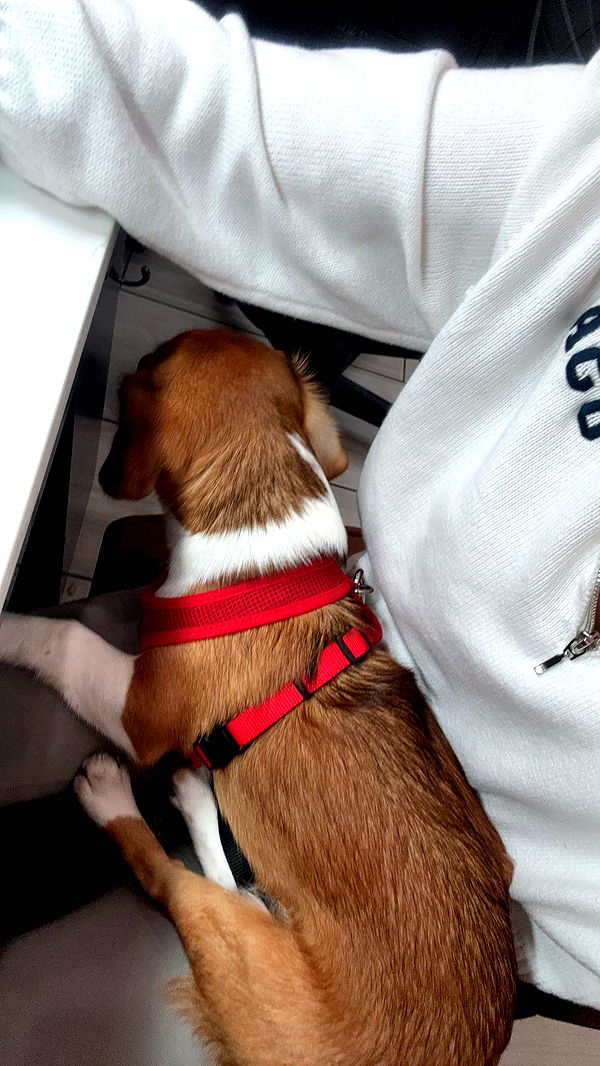 kydoddss image ~ Altpins