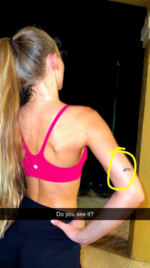 kydoddss image ~ Altpins