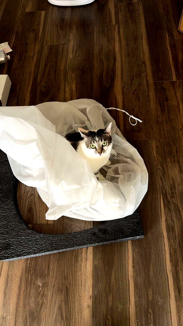 kydoddss image ~ Altpins