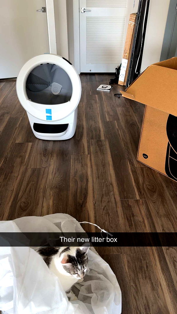 kydoddss image ~ Altpins