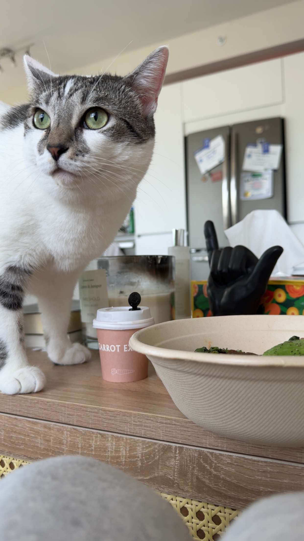 kydoddss snapchat image archive image