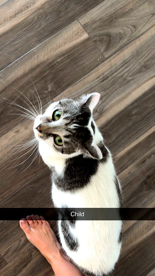 kydoddss image ~ Altpins