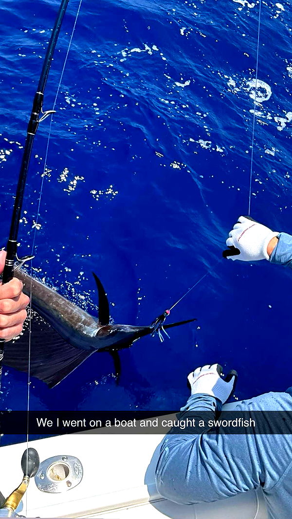 kydoddss image ~ Altpins