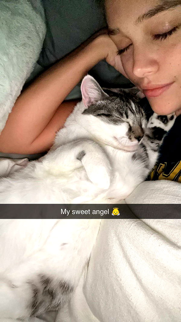 kydoddss image ~ Altpins