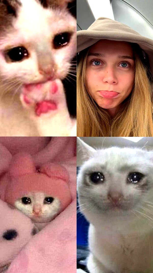 kydoddss image ~ Altpins