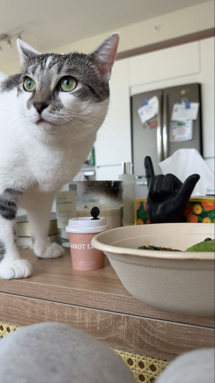 kydoddss snapchat image archive image