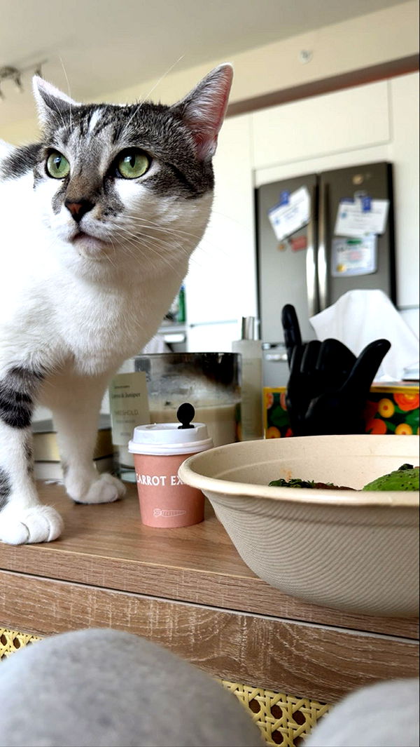 kydoddss image ~ Altpins