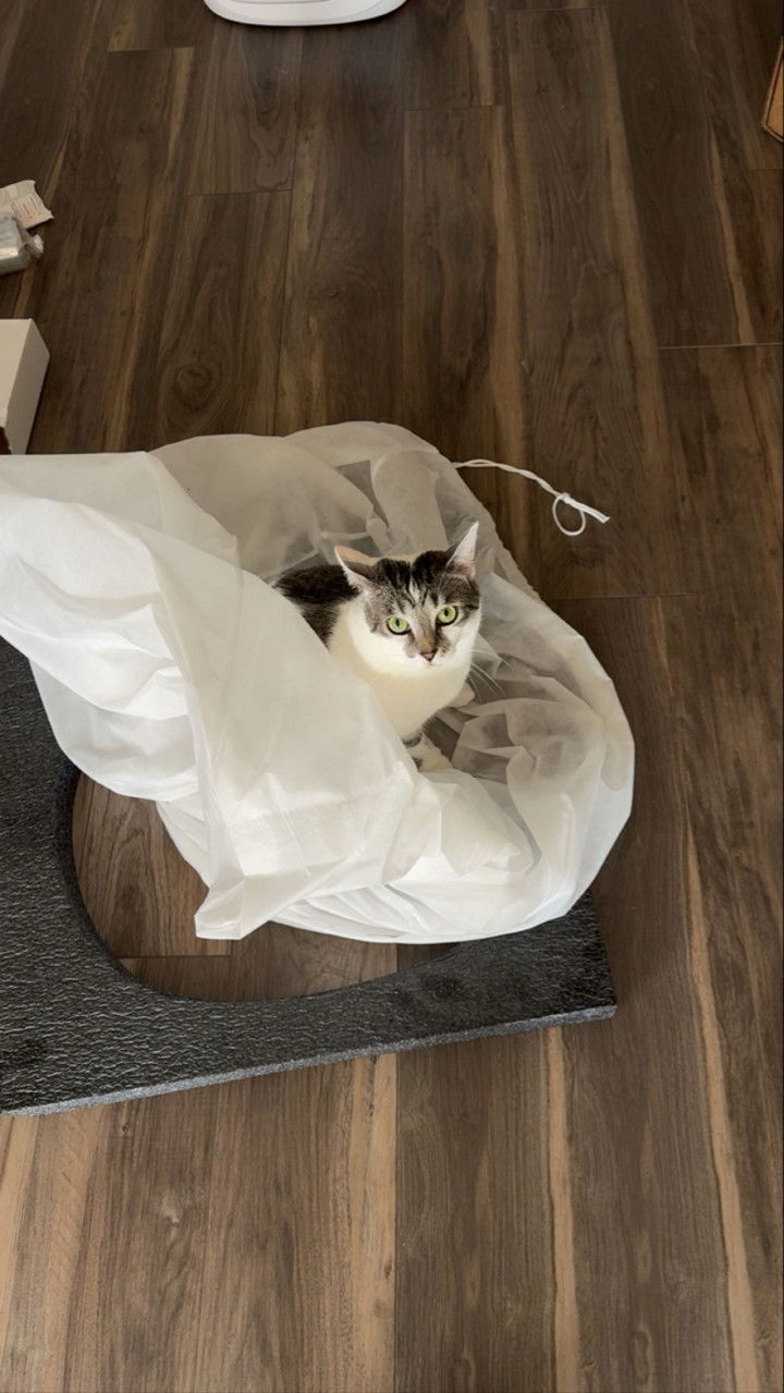 kydoddss snapchat image archive image