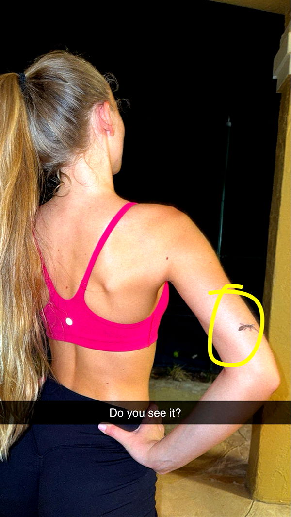 kydoddss image ~ Altpins