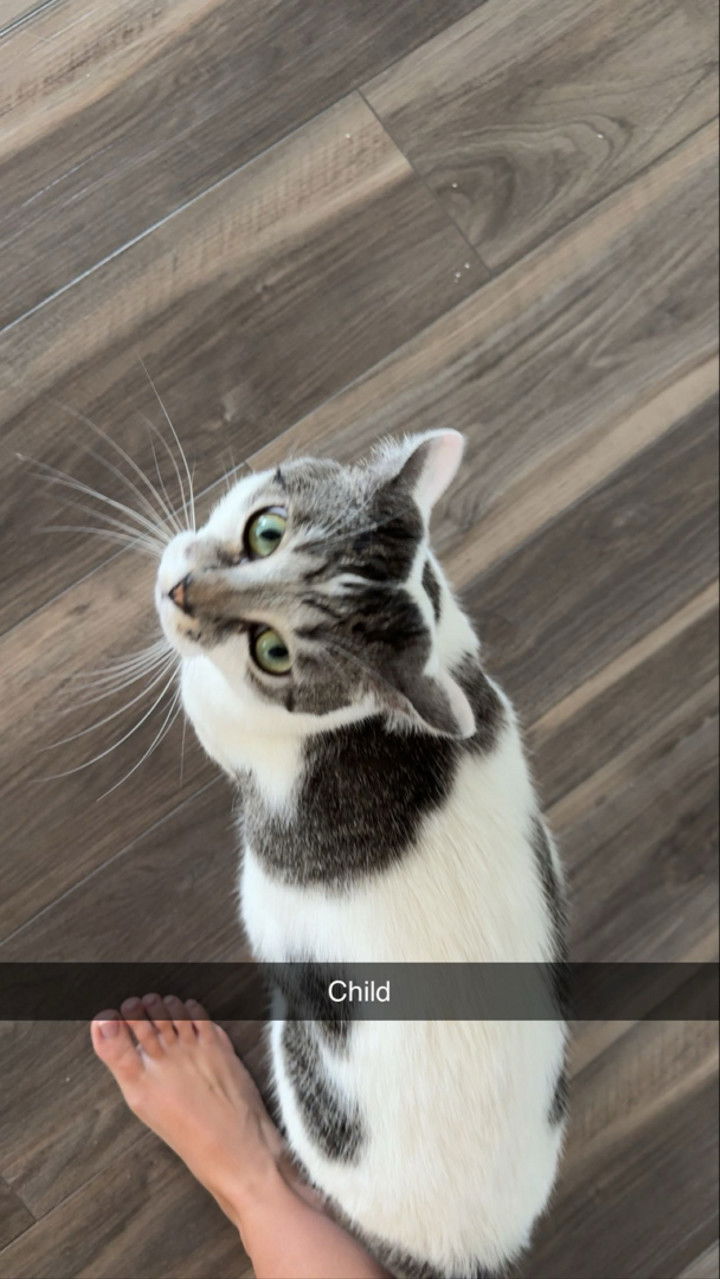 kydoddss snapchat image archive image