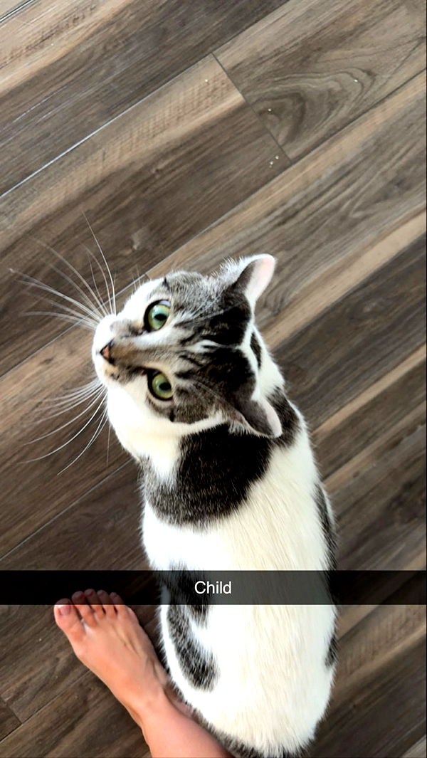 kydoddss image ~ Altpins