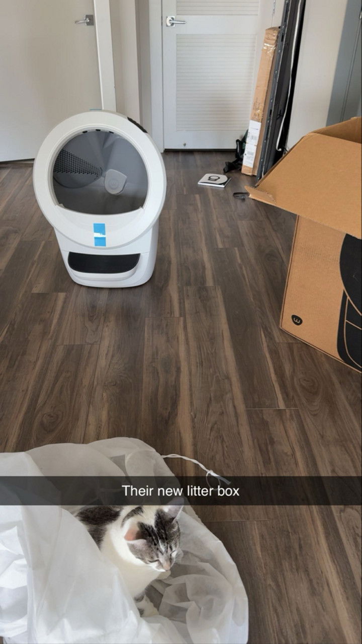 kydoddss snapchat image archive image