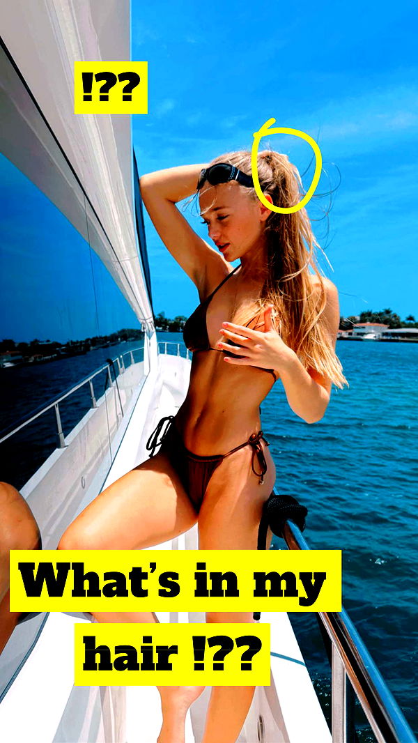 kydoddss image ~ Altpins