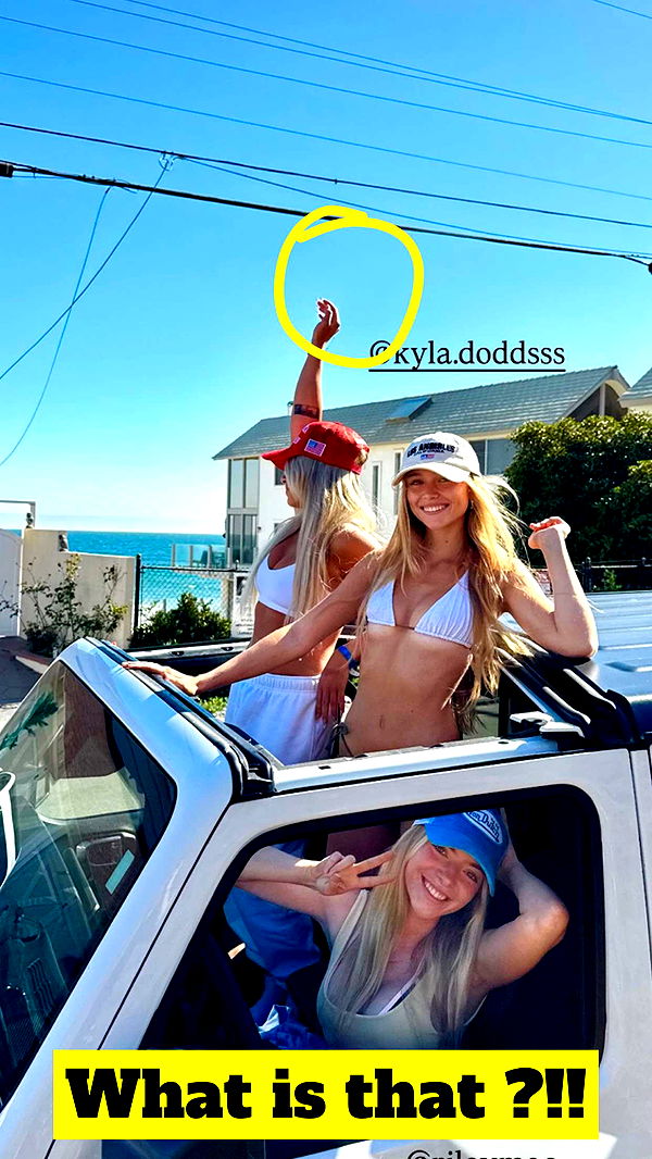 kydoddss image ~ Altpins