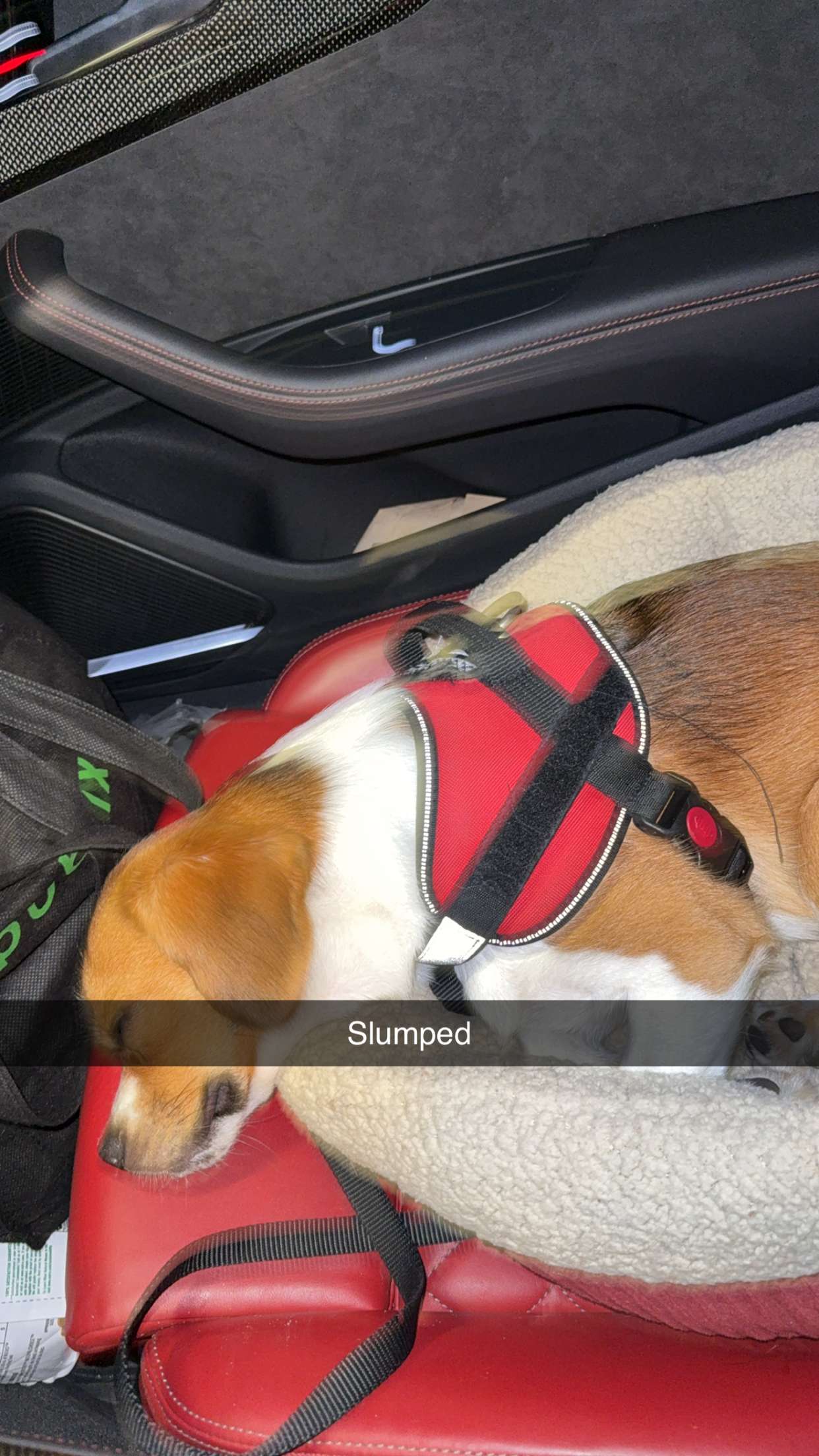 kydoddss snapchat image archive image