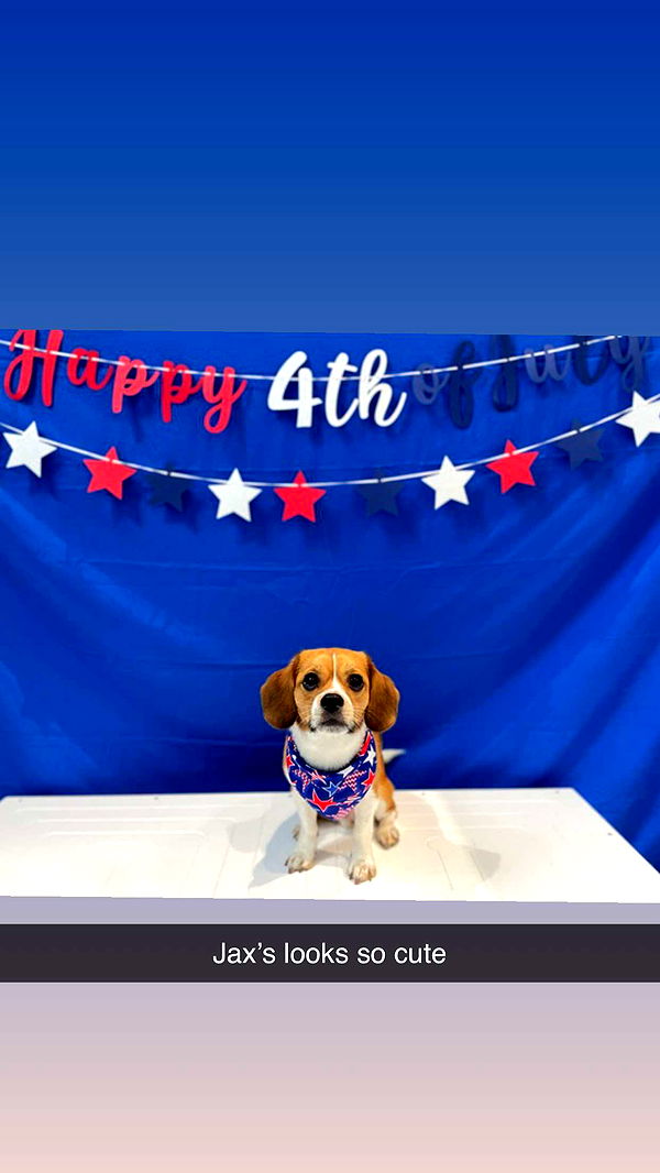 kydoddss image ~ Altpins