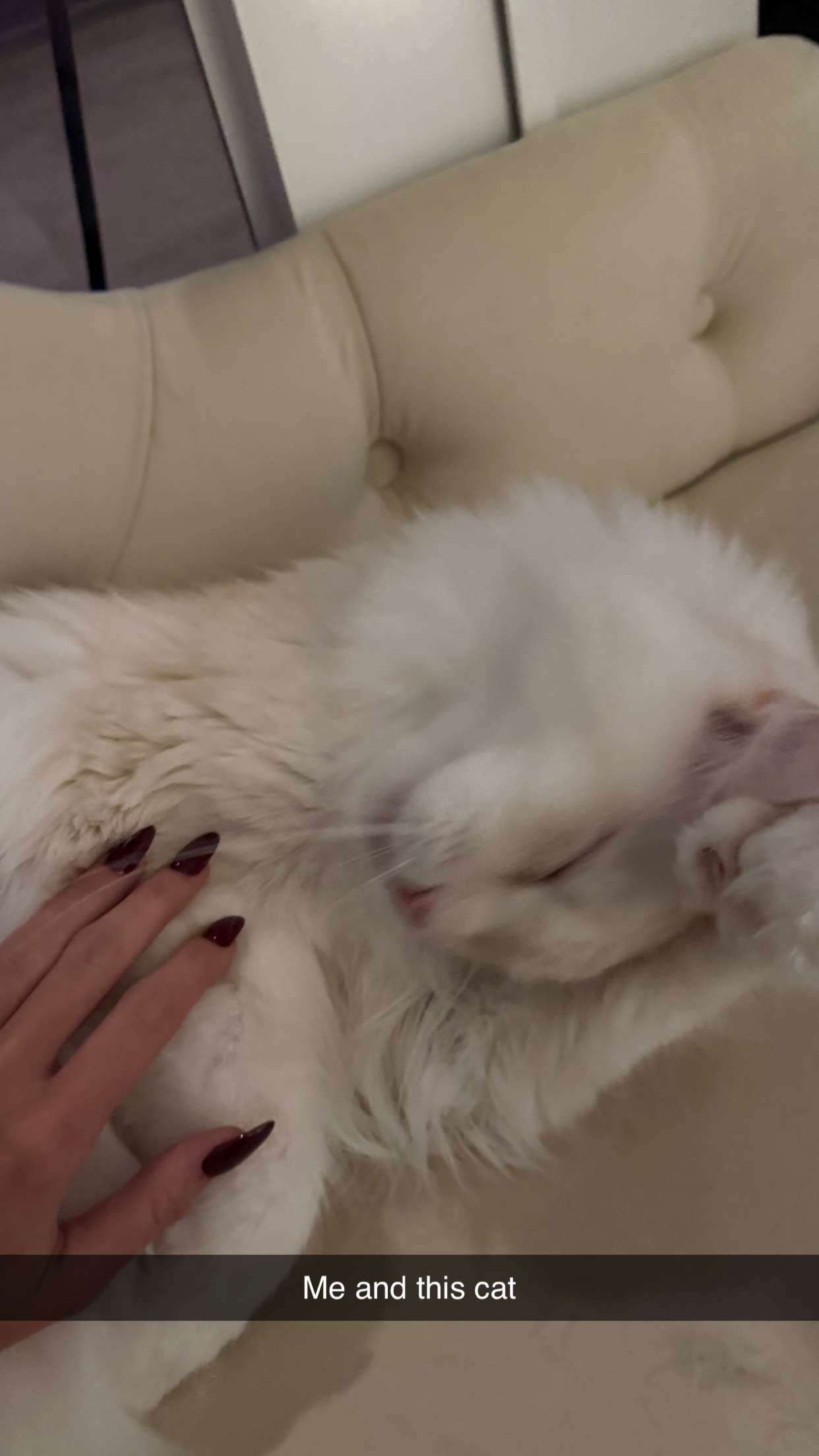 kydoddss snapchat image archive image