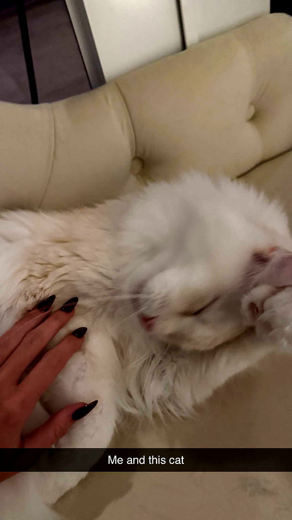 kydoddss image ~ Altpins