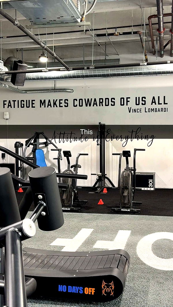 kydoddss image ~ Altpins