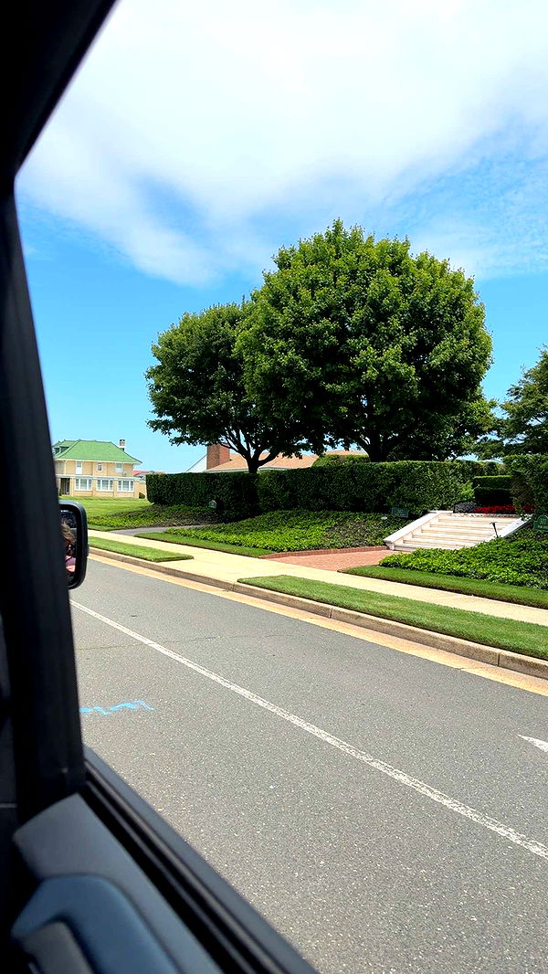 kydoddss image ~ Altpins