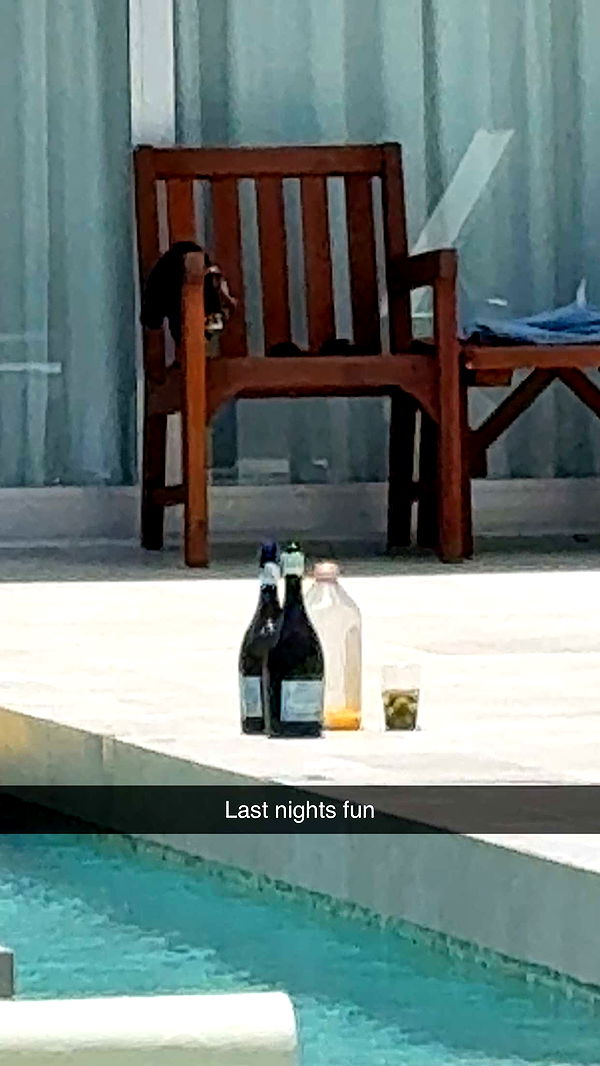 kydoddss image ~ Altpins