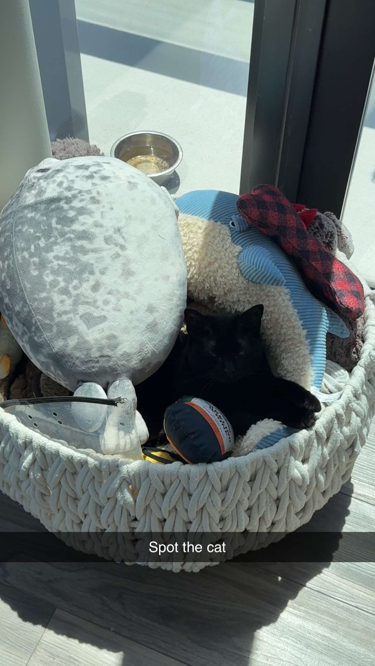 kydoddss snapchat image archive image