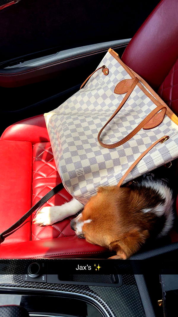 kydoddss image ~ Altpins