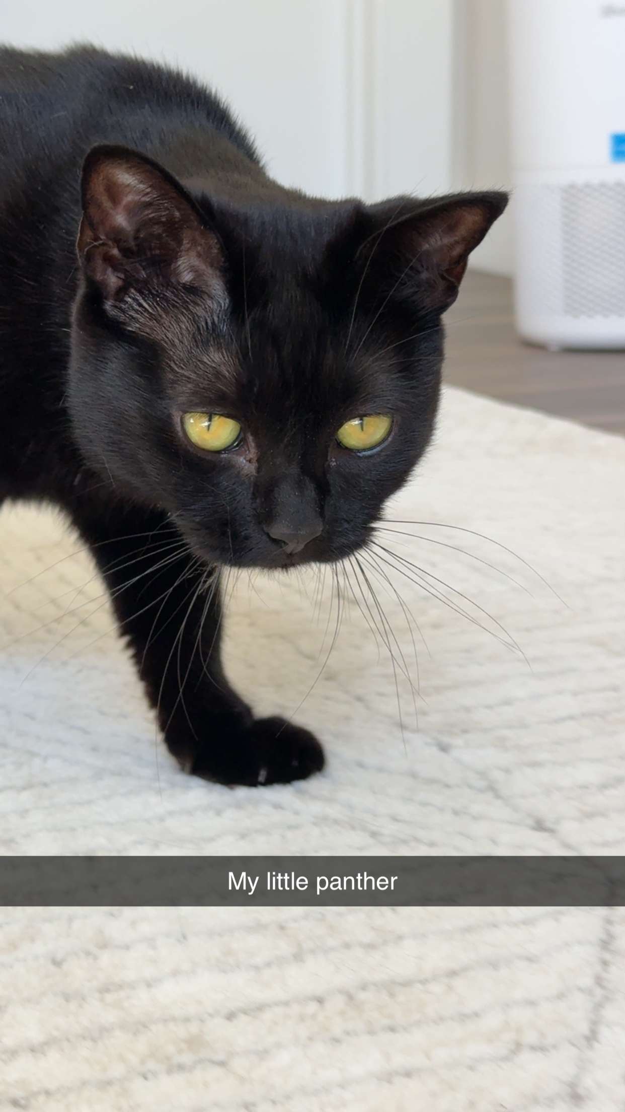 kydoddss snapchat image archive image