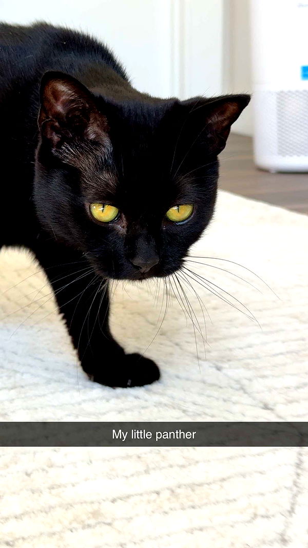 kydoddss image ~ Altpins